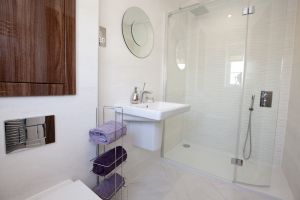 chestnut shadwell 41 sm.jpg
